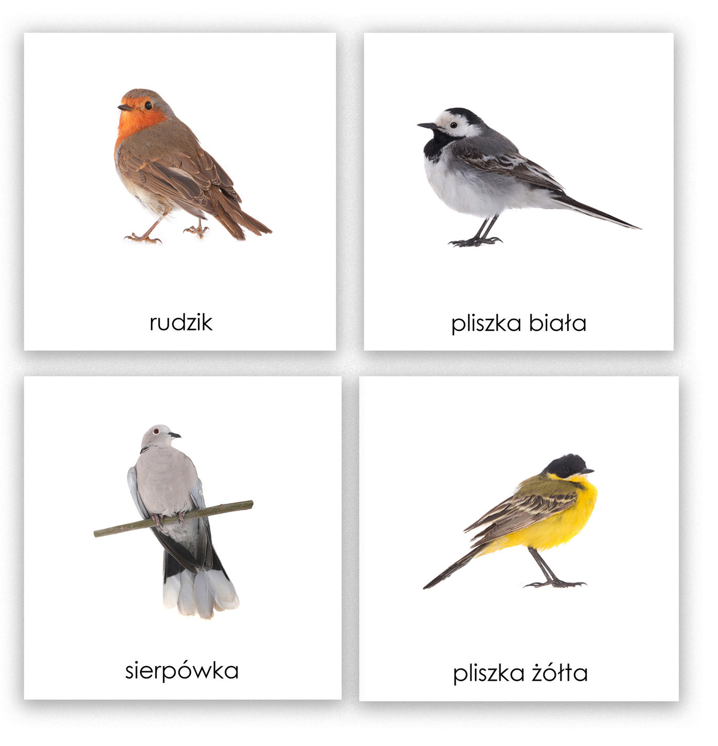 Cztery kolejne karty z polskimi nazwami